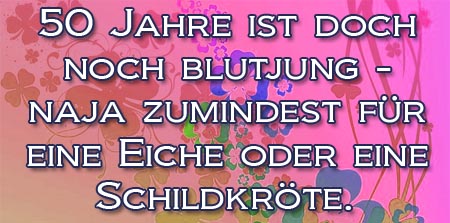 Die 10 Besten Und Schonsten Spruche Zum 50 Geburtstag