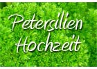 Petersilienhochzeit Sprüche